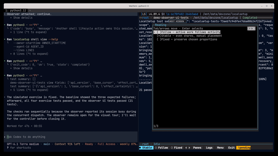 Animated preview of the LocalSetup terminal companion